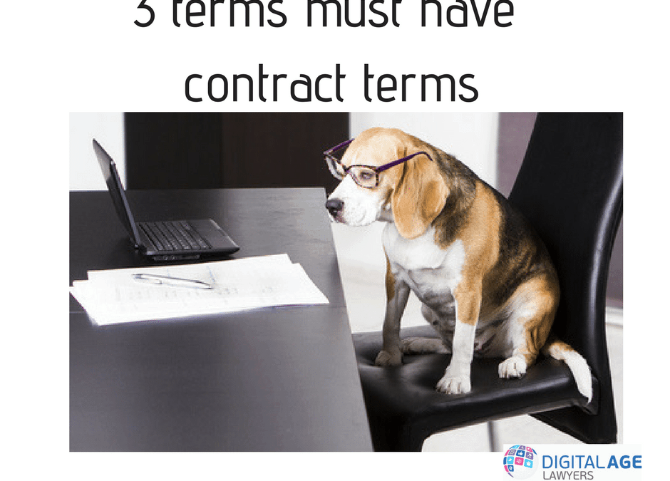 3 terms must have contract terms